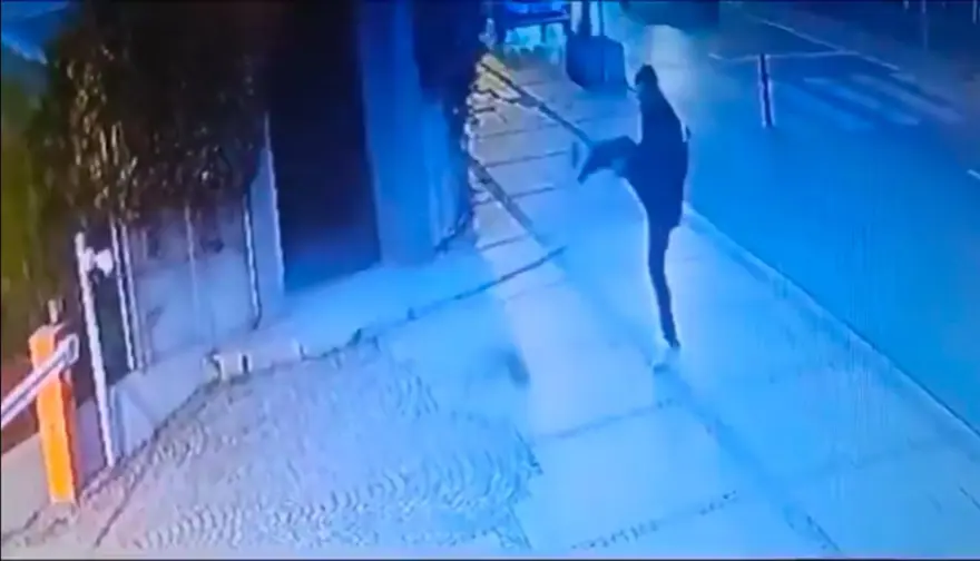 Beşiktaş’ta kediyi tekmeleyensaldırganın cezası belli oldu 