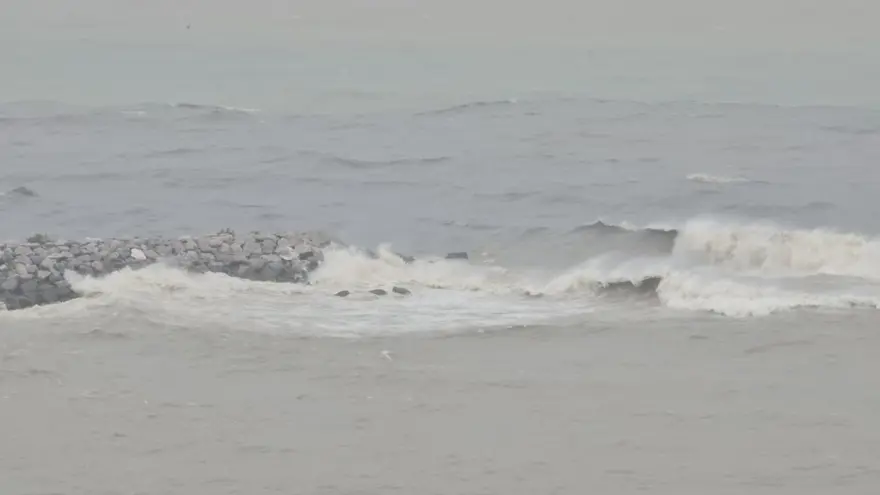 AFAD turuncu kod verdi: Validen "İş yerini veya konutunu su basanlar buraları terk etsin" uyarısı 2