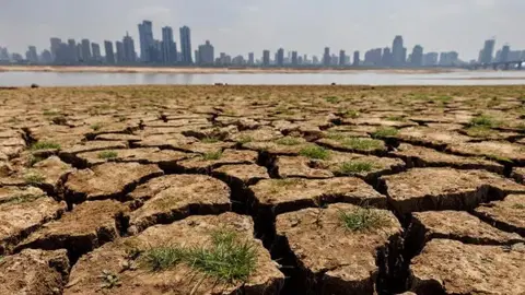 Tarih verildi, Mega El Nino geliyor. Türkiye için kritik uyarı