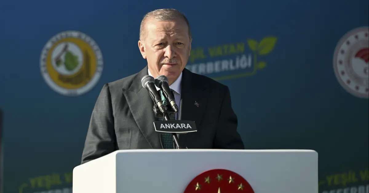 Cumhurbaşkanı Erdoğan'dan düşen askeri kargo uçağıyla ilgili açıklama