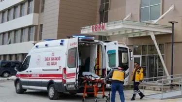 Erzincan'da ayı saldırısı: Bir kişi ağır yaralı