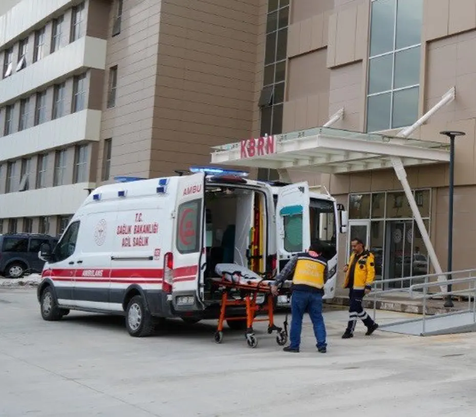 Erzincan'da ayı saldırısı: Bir kişi ağır yaralı