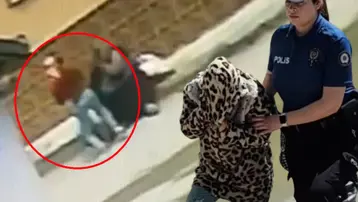 Kaldırıma sessizce yaklaştı, boynundan kapıp kaçtı