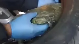 Kamyonet lastiğinden esrar çıktı! 