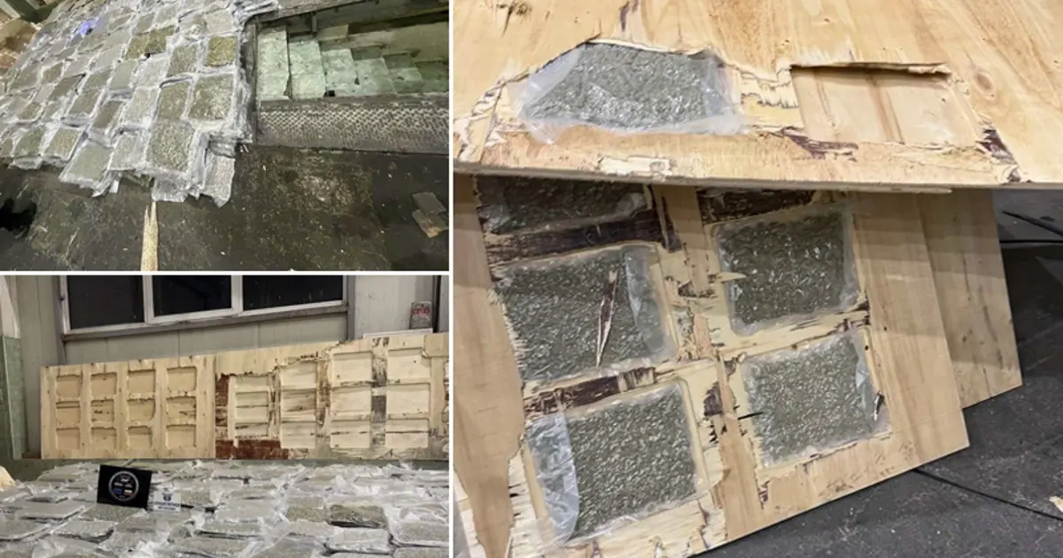 Türkiye sınırında yakalandı. 700 kilo esrarı kontrplakların arasında gizlemişler