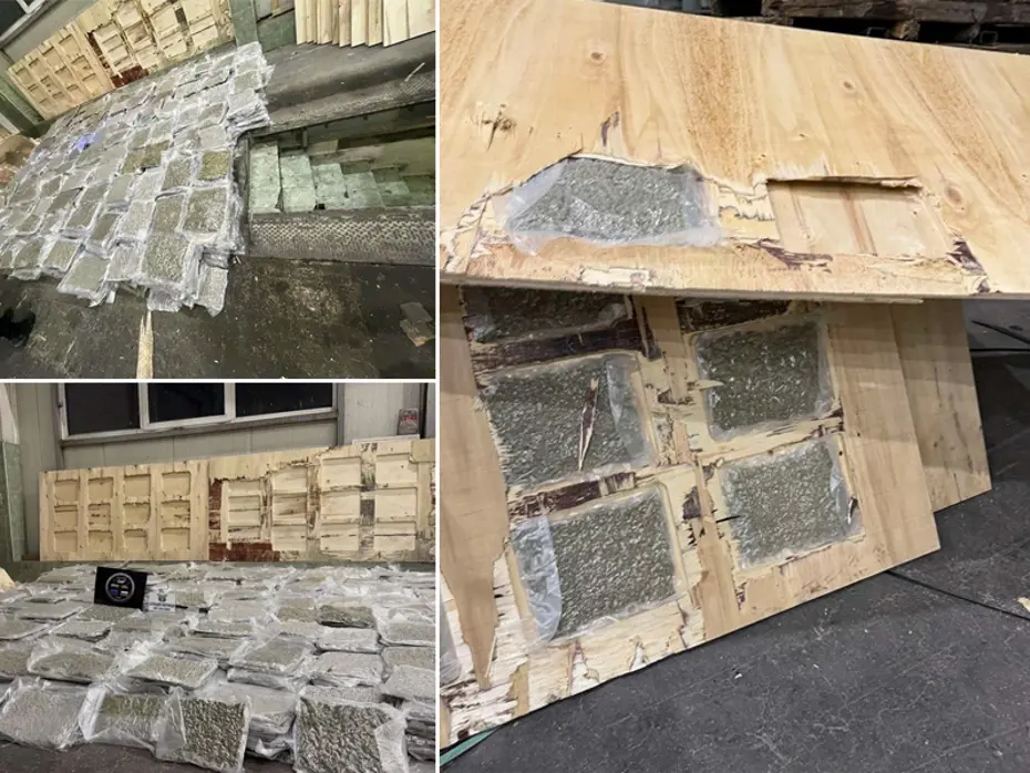 Türkiye sınırında yakalandı. 700 kilo esrarı kontrplakların arasında gizlemişler