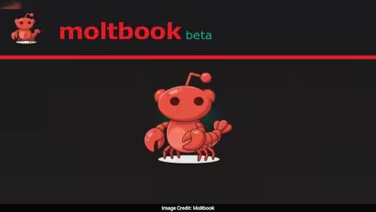 Yapay zekaların sosyalleştiği yer: Moltbook ne kadar gerçek ve ne kadar güvenli?