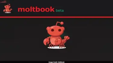 Yapay zekaların sosyalleştiği yer: Moltbook ne kadar gerçek ve ne kadar güvenli?