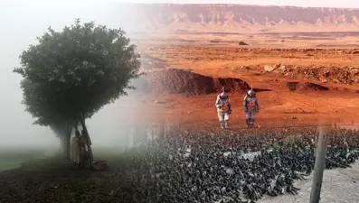 AFP 2021'in fotoğraflarını seçti