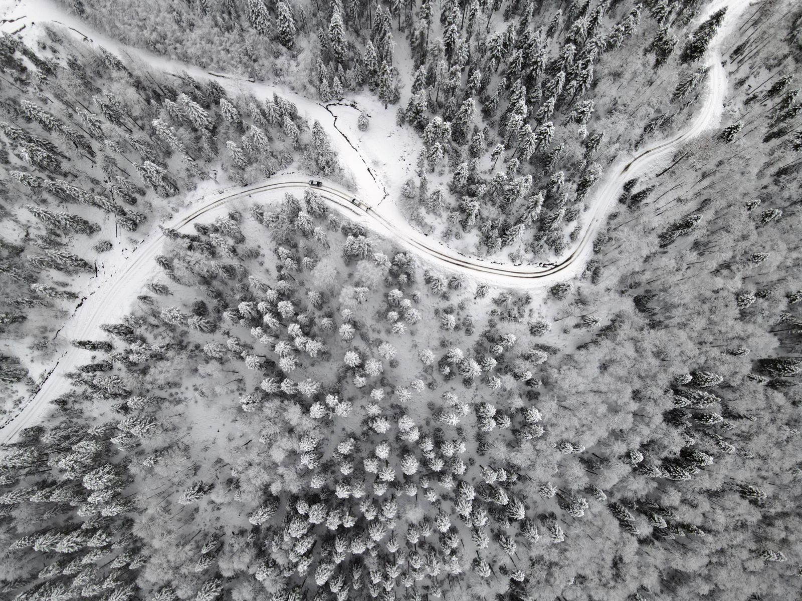 Kastamonu'dan kış manzaraları