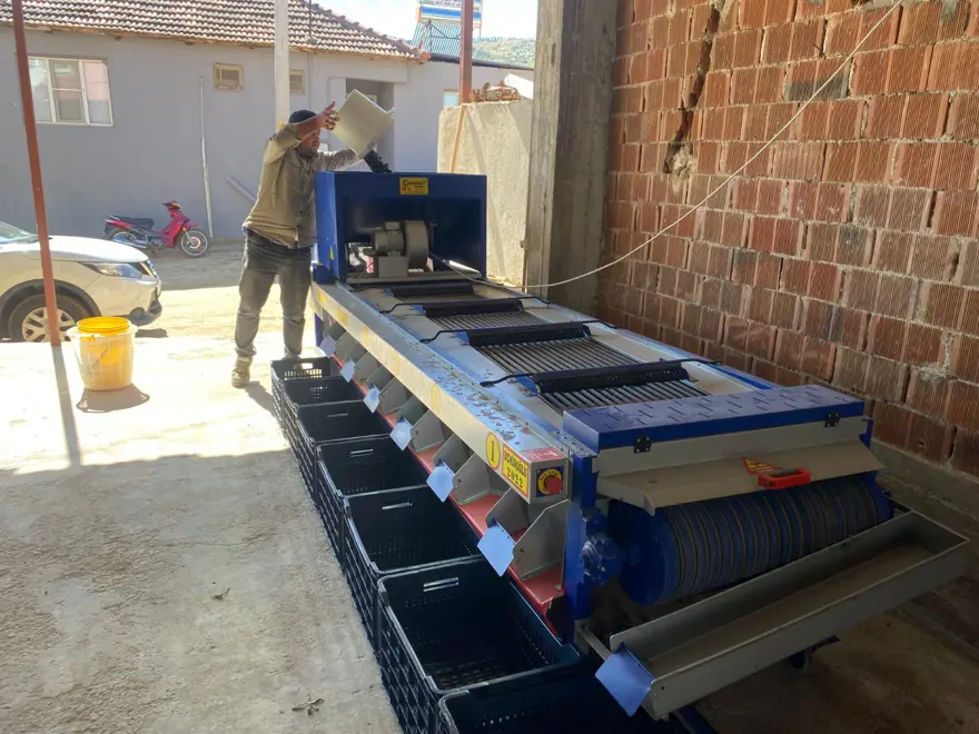 Üreticinin yüzünü güldürdü: Rekolte düşük ama kalite yüksek 2 Üreticinin yüzünü güldürdü: Rekolte düşük ama kalite yüksek 2