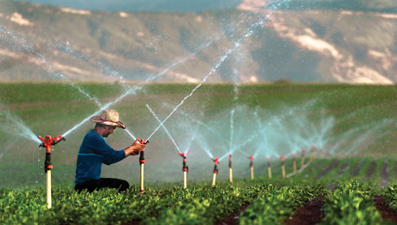 İlk 6 ayda çiftçilere 89,7 milyar liralık destek