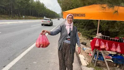 Yol kenarından topladılar şimdi tezgahta: Bir kilosu 600 lira