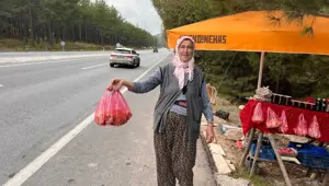 Yol kenarından topladılar şimdi tezgahta: Bir kilosu 600 lira