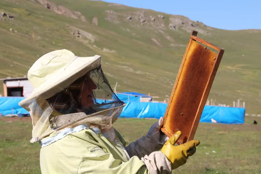 "30 YIL ÖNCE 5 KİLO BAL ALDIĞIMIZ KOVANLARDA ÜRETİM 2 KİLOYA DÜŞTÜ" 2