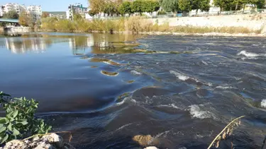 Arnavutluk'ta araba nehre düştü: 8 kişi öldü