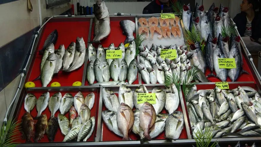 ''Denizlerin prensi'' tezgahta yerini aldı! Kilosu bin 200 TL'den satılıyor 4 ''Denizlerin prensi'' tezgahta yerini aldı! Kilosu bin 200 TL'den satılıyor 4