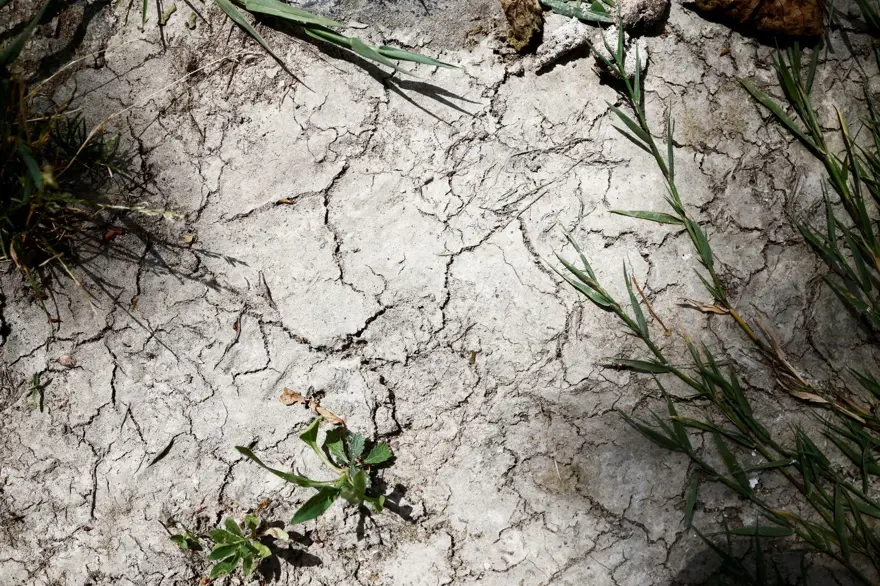 İtalya'da tarihi kuraklık: Tiber nehri kurumaya yüz tuttu 6