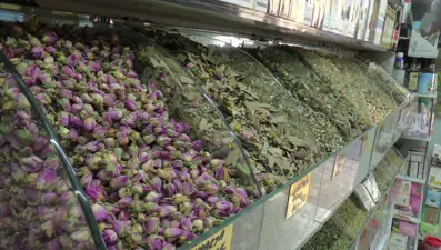 Ihlamurun kilosu 350 TL'den alıcı buluyor