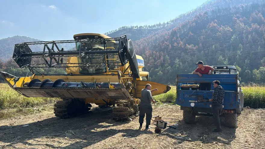 "Beyaz altın" olarak biliniyor: Bu yıl yüzde 40 düşüş yaşandı 3 "Beyaz altın" olarak biliniyor: Bu yıl yüzde 40 düşüş yaşandı 3