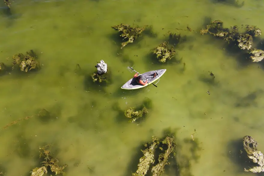 Bilim insanlarının çalışmalarına konu oluyor: Van Gölü'nün çekilmesiyle ortaya çıktı 1