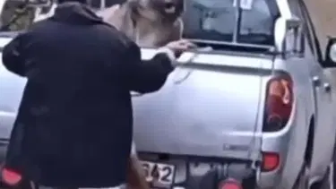 Kamyonette köpeğe halatla şiddet