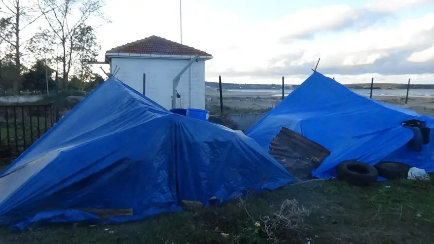 İstanbul'dan Sinop'a gelip toplamaya başladılar: 1 ay boyunca ormanda, dağlarda dolaşıyorlar 5