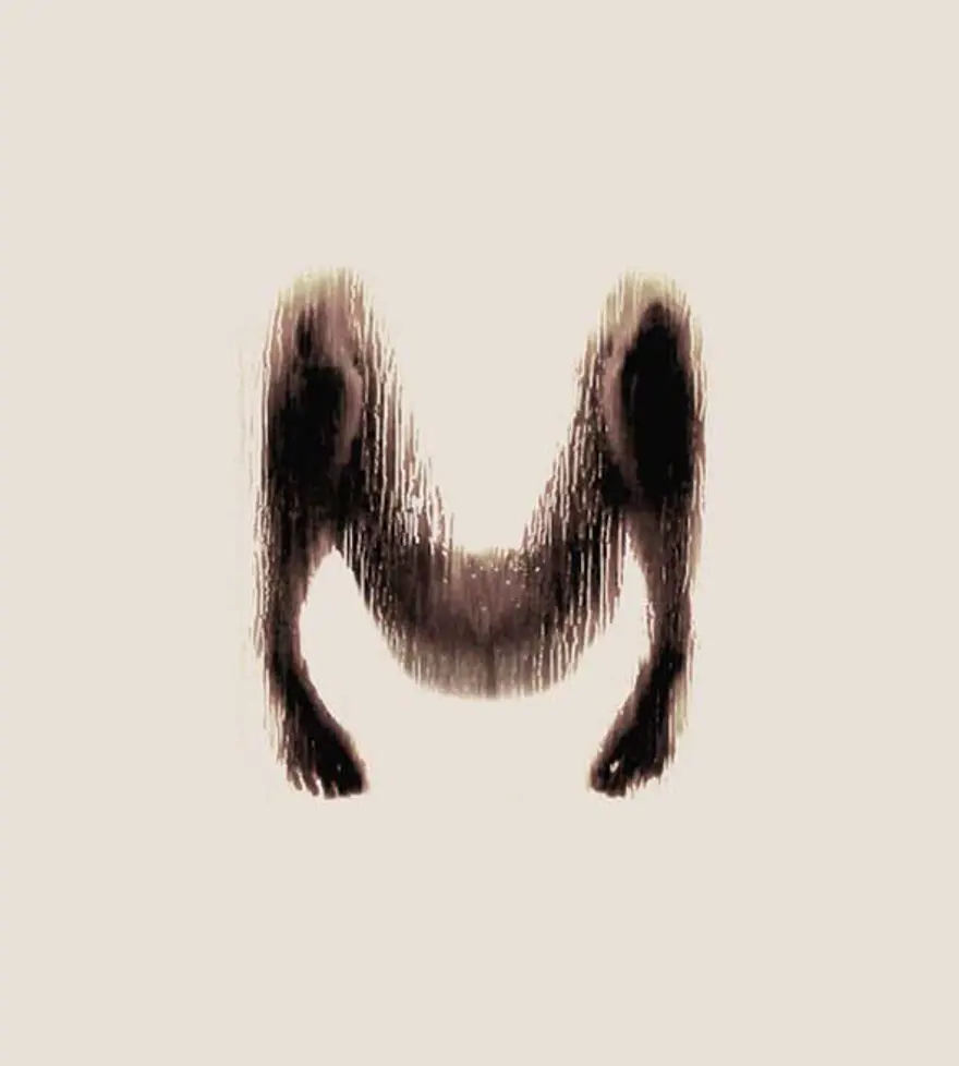 M 12