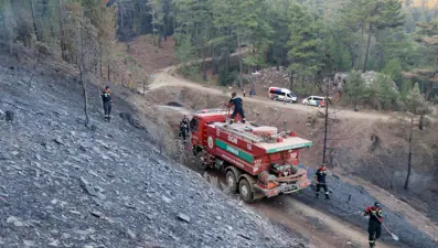 Orman yangınlarında son durum