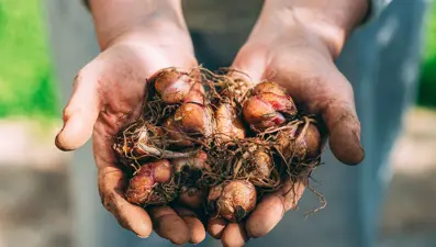 Beslenme uzmanı "Bu gıdalar toksik" dedi: 2 besin buzdolabında zehre dönüşüyor