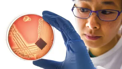 “Süper bakteri” tehlikesi (Antibiyotiklere dirençli bakteri keşfedildi)