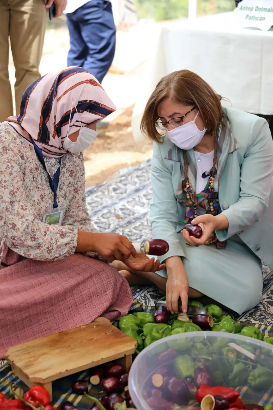 GastroAntep Festivali, fıstık hasadı ve şire yapımı ile başladı 3