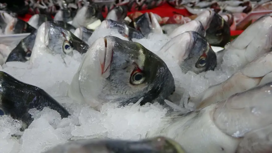 Balık tezgahları yoğun ilgi görüyor: Kilosu 200, 250, 350 lira arasında değişiyor 3