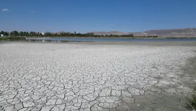 Ulaş Gölü alarm verdi: Yerler çatladı