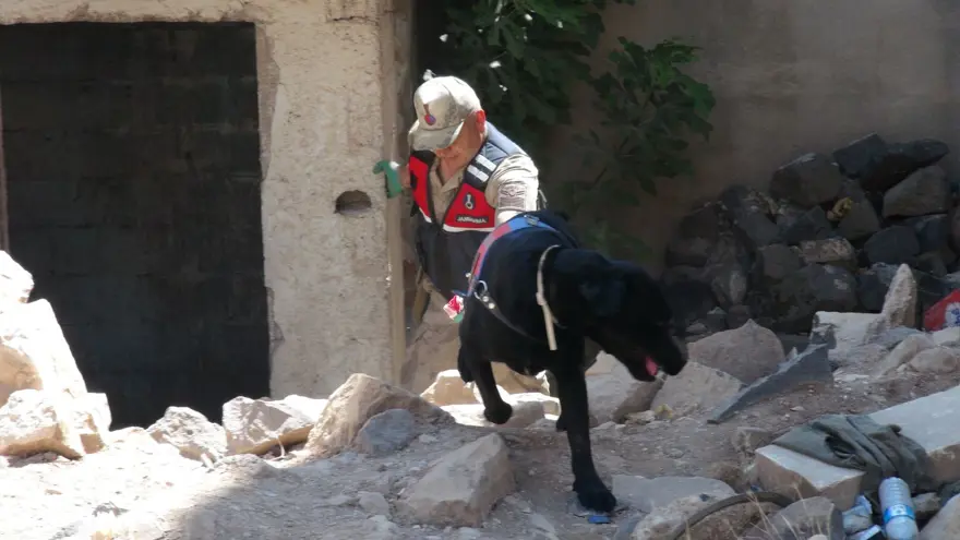 Parkta bir anda yok oldu! Kilis'te kaybolan 3 yaşındaki çocuk her yerde aranıyor 3 Parkta bir anda yok oldu! Kilis'te kaybolan 3 yaşındaki çocuk her yerde aranıyor 3