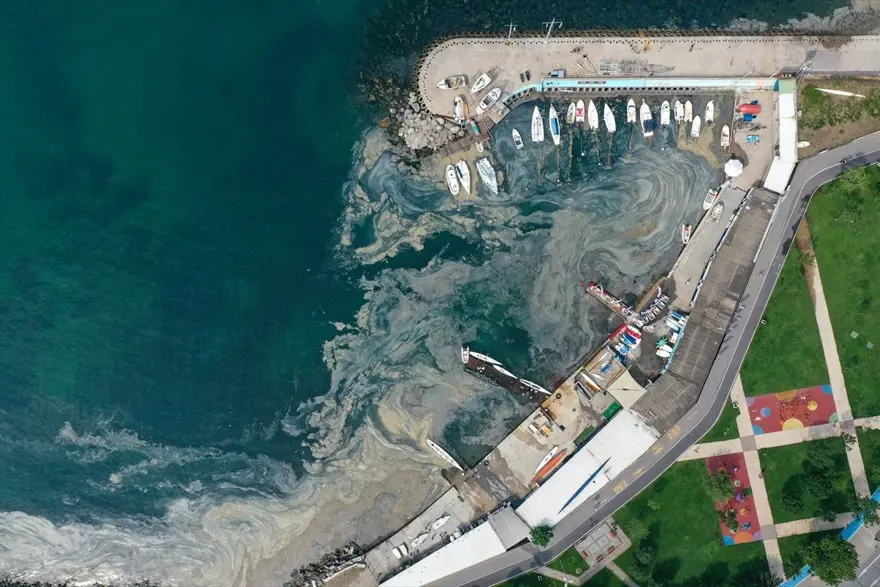 ODTÜ'den Marmara'da 'derin' inceleme 17