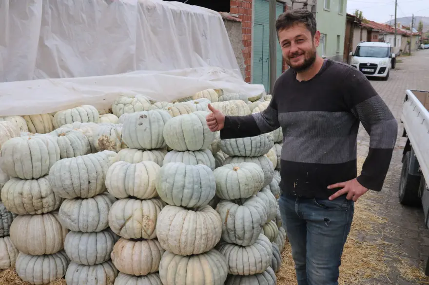 Psikolojiye iyi geldiği söyleniyor: Tarla fiyatı 20 lira 4