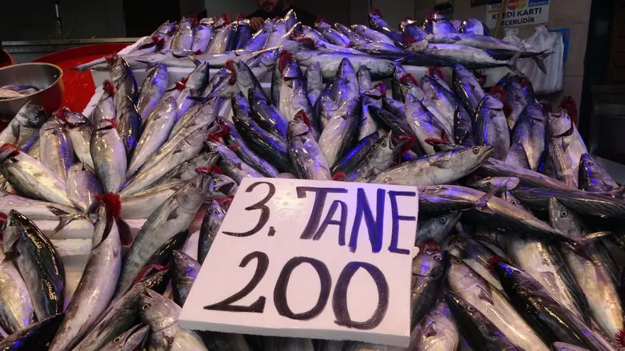 Av yasağı bitti, palamutun fiyatı düştü 2