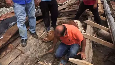 Köylüler fark etti: Kurtarmak için seferber oldular