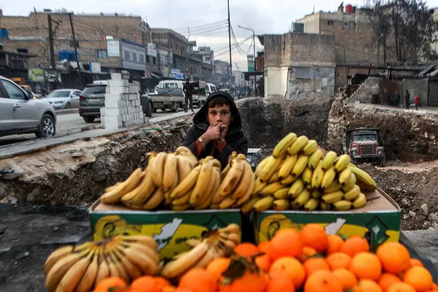 TROPİKAL MEYVELER TEZGAHLARDA TROPİKAL MEYVELER TEZGAHLARDA