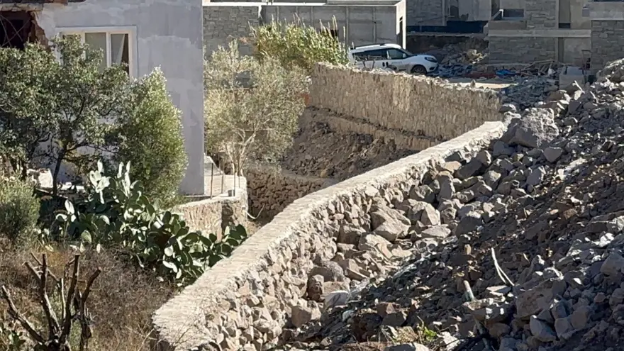 Şarkıcı Suavi'nin arsasında kesilen ağaçlarla ilgili inceleme başlatıldı 4