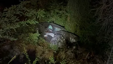 Çarpışıp ormandaki uçumuna savruldular