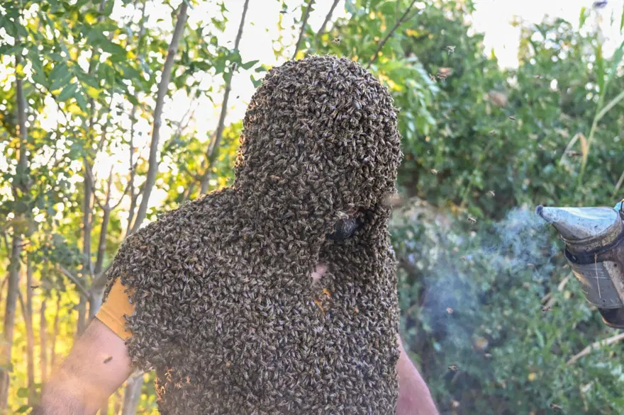"Arı Adam"ın Guinness Rekorlar Kitabı hayaline ramak kaldı 12