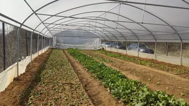 İstanbul’un çöp köyü, doğa köy olma yolunda