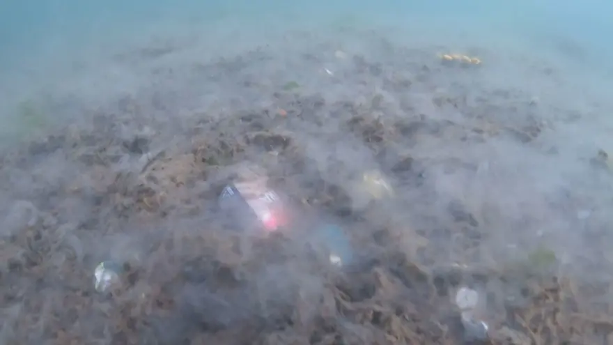 Deniz dibini saran 'Deniz salyası' görüntülendi 1