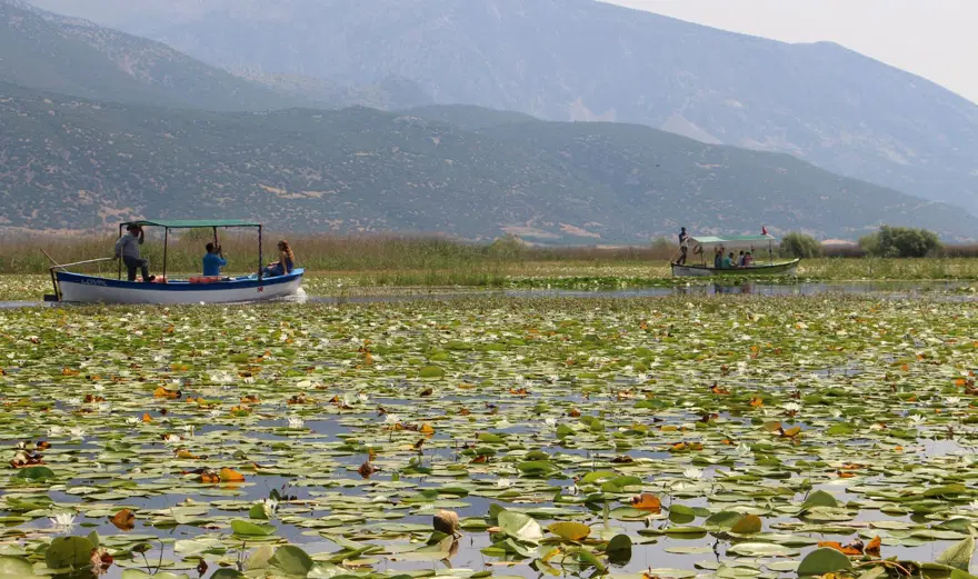 Işıklı Gölü’nde nilüfer turizmi: 100 bin ziyaretçinin gelmesi bekleniyor 3