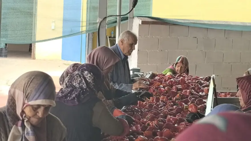 50 YILDIR FAALİYET, 25 YILDIR İHRACAT 4