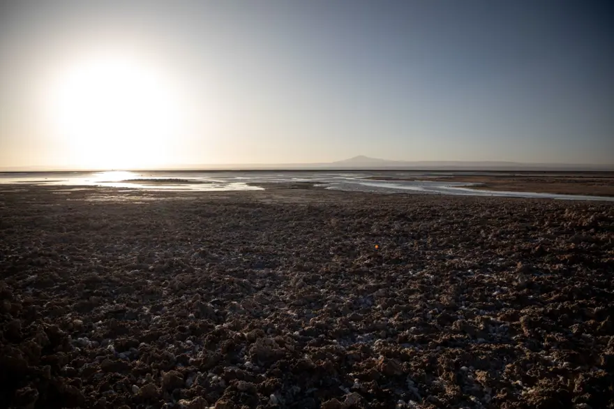 İnsan faaliyetlerinin son kurbanları: Sayıları hızla azalıyor 16 İnsan faaliyetlerinin son kurbanları: Sayıları hızla azalıyor 16