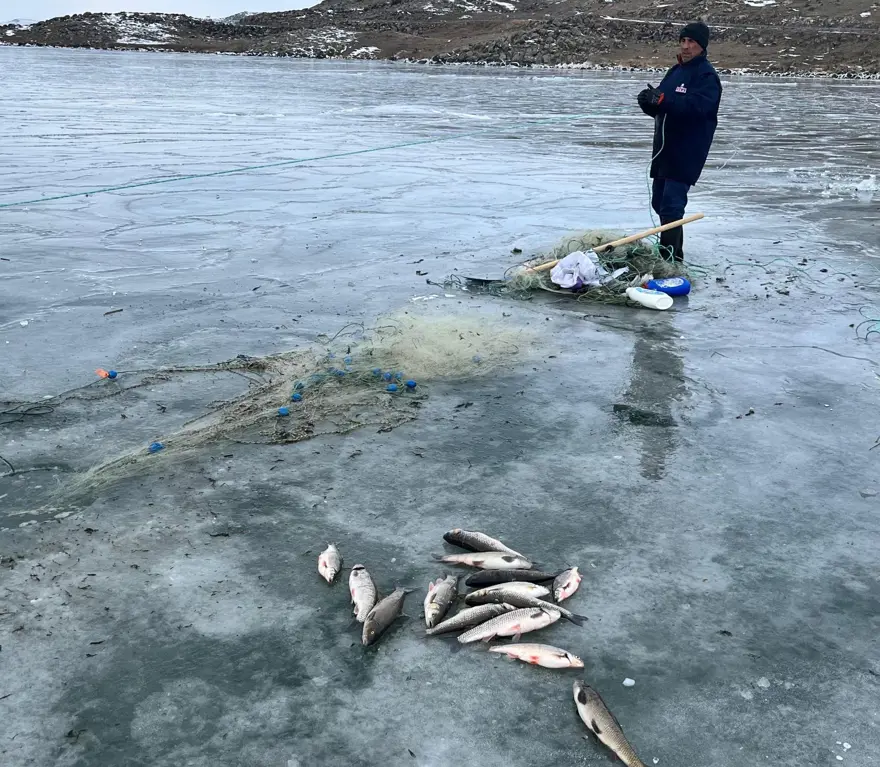 Eskimo usulü balık avı: Ağlardan balıklar fışkırdı 