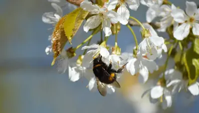 Haziran ayı ile ilgili mesajlar ve sözler